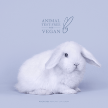 Charger l'image dans la galerie, vegan lip serum