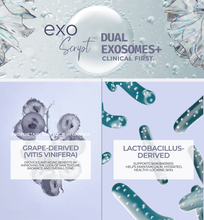 Load image into Gallery viewer, Dual plant grape and bacteria  lactobacillus exosome complex